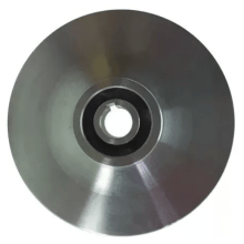 Rotor BR P15N 145 19 mm - DR
