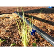 Bico Gotejador Ga 2 Gotejamento Regulável Agrojet