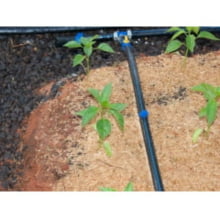 Bico Gotejador Ga 2 Gotejamento Regulável Agrojet