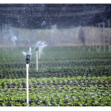 Aspersor Senninger Xcel Wobbler 1/2'''