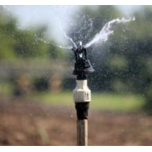 Aspersor Senninger Xcel Wobbler 1/2'''