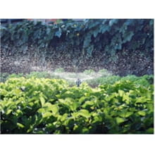 Horta Fácil Aspersor com adaptador para mangueira