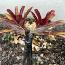 Micro Spray Jet Para Irrigação Implebras