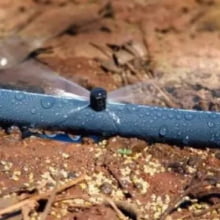 Micro Spray Jet Para Irrigação Implebras