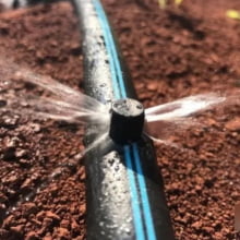 Micro Spray Jet Para Irrigação Implebras