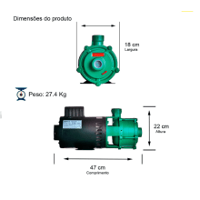 Bomba P-11/3 BR 2,0 CV Monofásica IP21 127/220-254V - Verde - Thebe