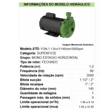 Motobomba fgn-1 Mm 1,0cv 145mm-al-110-127/220-254v-2p-r-60hz-ip21-irn-gcb-vd std  - Bivolt