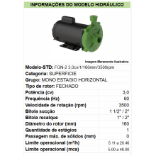 Motobomba  fgn-2 m3,0cv-160mm-al-110-127/220-254v-2p-r-60hz-ip21-irn-gcb-vd std - Bivolt