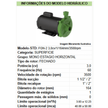 Motobomba  fgn-2 m3,0cv-164mm-al-110-127/220-254v-2p-r-60hz-ip21-irn-gcb-vd std - Monofasica