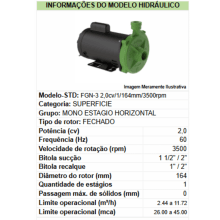 Motobomba fgn-3 m2,0cv -164mm-al -110-127/220-254v-2p-r-60hz-ip21-irn-gcb-vd std - Bivolt