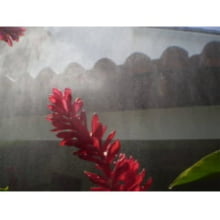 Nebulizador Na-1 Agrojet Com Grapa Irrigação