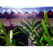 Nebulizador Na-1 Agrojet Com Grapa Irrigação