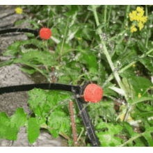 Gotejador Ajustável Para Irrigação 70l/h