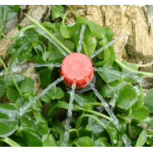 Gotejador Ajustável Para Irrigação 70l/h