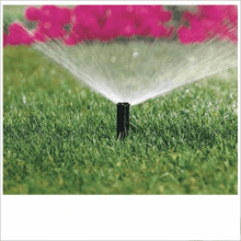 Aspersor Spray Esc.p/ Irrigação 1802 (corpo) - Rain Bird