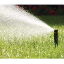 Bocal para aspersor spray Rain Bird