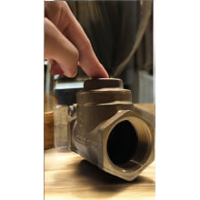 Válvula de Retenção em Bronze com Portinhola DN65 – Dulong