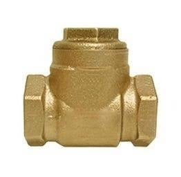 Válvula de Retenção em Bronze com Portinhola DN65 – Dulong